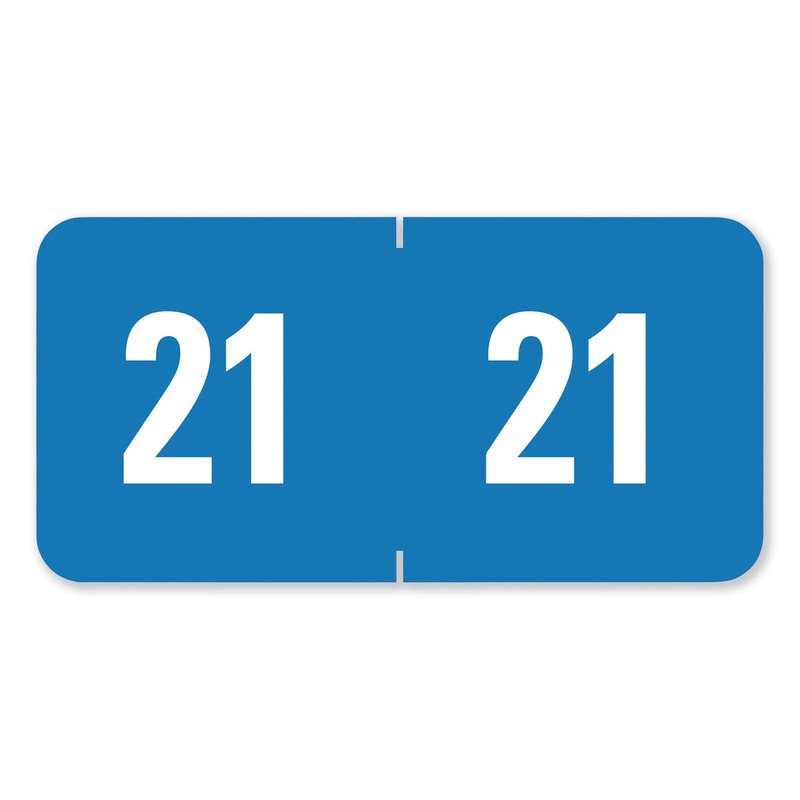 YEAR 2021 END TAB FOLDER LABELS, 1 X 0.5, LIGHT BLUE/WHITE, 250 LABELS/PACK
